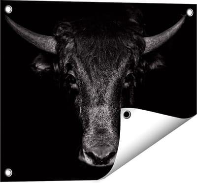 Gards Tuinposter Stierenkop - Stier - Zwart Wit - 50x40 cm - Tuindoek - Tuindecoratie - Wanddecoratie buiten - Tuinschilderij