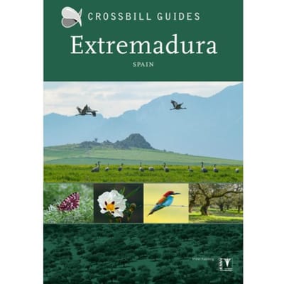 Extremadura - Crossbill Guides - Dirk Hilbers