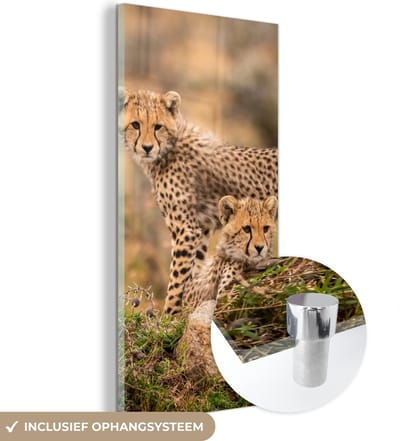 MuchoWow® Glasschilderij 20x40 cm - Schilderij acrylglas - Luipaard - Jong - Natuur - Foto op glas - Schilderijen
