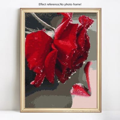 Diamantmozaïekvrouwen Kus Rode Roos 5D DIY Diamantschilderij Borduurwerk Strass 20X30CM red
