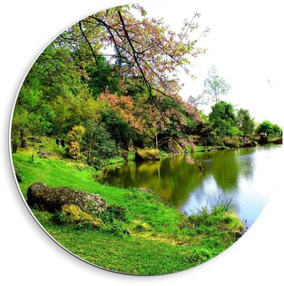 Forex Wandcirkel - Rivier bij Bos - 40x40cm Foto op Wandcirkel (met ophangsysteem)