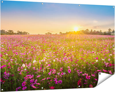 Gards Tuinposter Bloemenveld met Roze Kosmos - 150x100 cm - Tuindoek - Tuindecoratie - Wanddecoratie buiten - Tuinschilderij