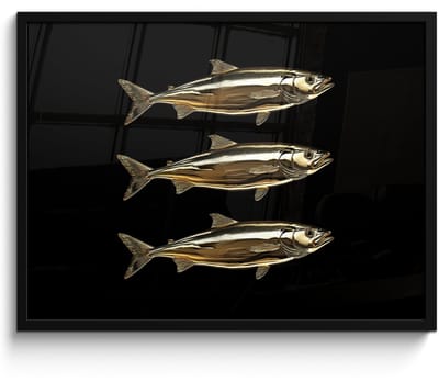 Poster in lijst - Fotolijst 70x50 cm - Posters - Vissen - Goud - Zwart - Posterlijst zwart - Decoratie - Wanddecoratie woonkamer - Muurdecoratie slaapkamer