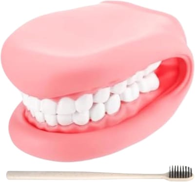 Handpoppen - Vingerpop Tand - Mondhygiëne Leren - Realistische Anatomie - 13 x 10 x 16 cm - Roze