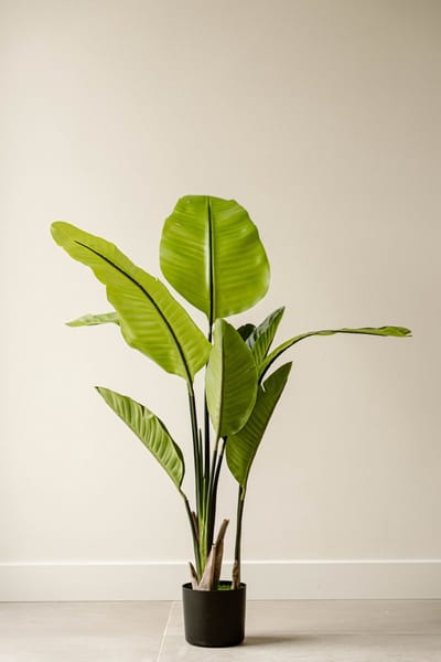 Indore Silva Strelitzia Kunstplant 120 cm – Luxe Grote Kamerplant – Levensecht & Onderhoudsvrij