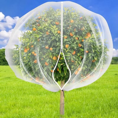 Insectengaas - Vogelafscherming - Insectenwerende hoes met ritssluiting - Grote fruitboomafdekking van 1,8 x 1,8 m - met ritssluiting en trekkoord - transparante insectenafdekking - vogel- en insectenwerend gaas voor bloemen en fruit - 1 stuk