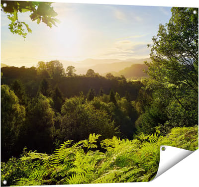 Gards Tuinposter Zonsondergang vanuit een Bos - 100x80 cm - Tuindoek - Tuindecoratie - Wanddecoratie buiten - Tuinschilderij