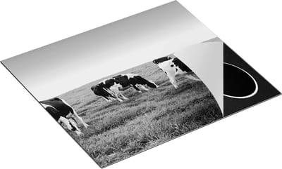 Chefcare Inductie Beschermer Kudde Koeien in de Wei - Hemel Blauwe Lucht - Zwart Wit - 60x50 cm - Afdekplaat Inductie - Kookplaat Beschermer - Inductie Mat