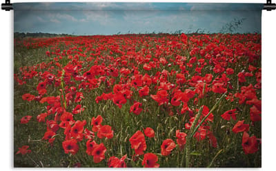 Wandkleed Klaproos - Een weiland vol met klaprozen Wandkleed katoen 60x40 cm - Wandtapijt met foto