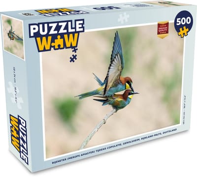 Puzzel Bijeneter (Merops apiaster) tijdens copulatie, Gerolsheim, Rijnland-Palts, Duitsland - Legpuzzel - Puzzel 500 stukjes