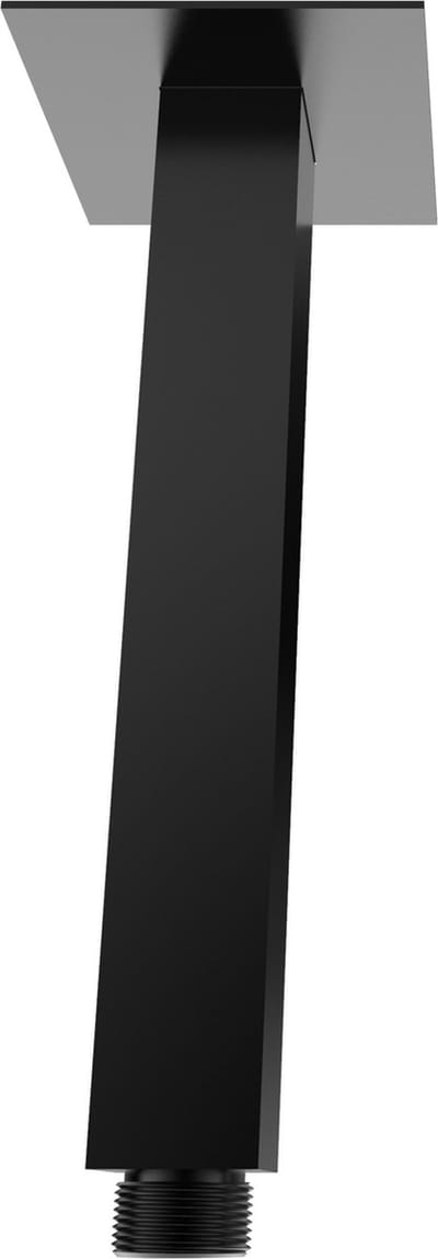 Sanifun douchearm Nero 300 B