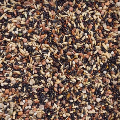Vogelvoer- Deli Nature- NR99- Europese vogels basis- Wildzang- zak 2 kilo