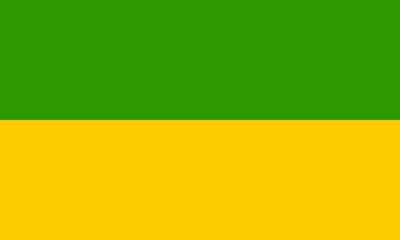 Vlag Recklinghausen 100x150cm