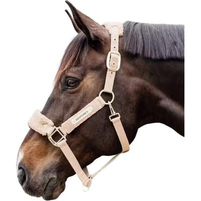 Kentucky Horsewear - Teddy fleece halster beige Pony
