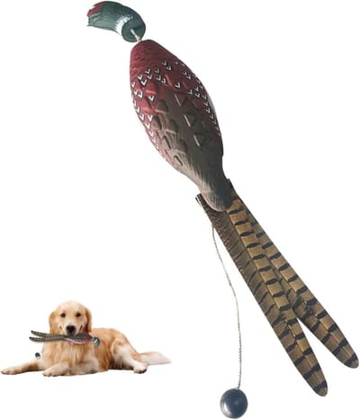 Dog Bumper, EVA Realistic Waterproof Pheasant, Dog Training Dummy Toy with Throwing Switch, Anti Chew Lightweight Training Fake Duck for Puppies and Dogs