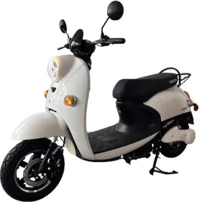 Eco Wielen VS2 – Elektrische scooter – 60 V 22 Ah gelaccu – Actieradius tot 53 km