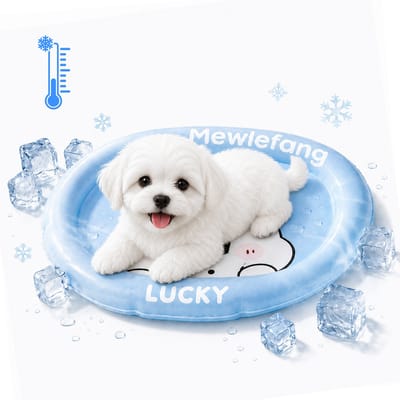 Koelmat Hond - Koelmat Kat - Fysieke Koeling - Zachte Hoge Rand - PVC Waterdicht Krasvast - Gevuld Met Polymeergel - voor Thuis, Onderweg of in de Auto - 81x63cm/Binnen 43x61cm - 1 Stuk