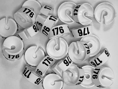 Bleijenberg Maatdopje maat 176 wit - Maataanduiding voor kledinghangers per 25 stuks - Maatringetje Ø 20 mm - Kledinghangers - Kleerhanger - Kapstok - Mark-Brics - wisersizer