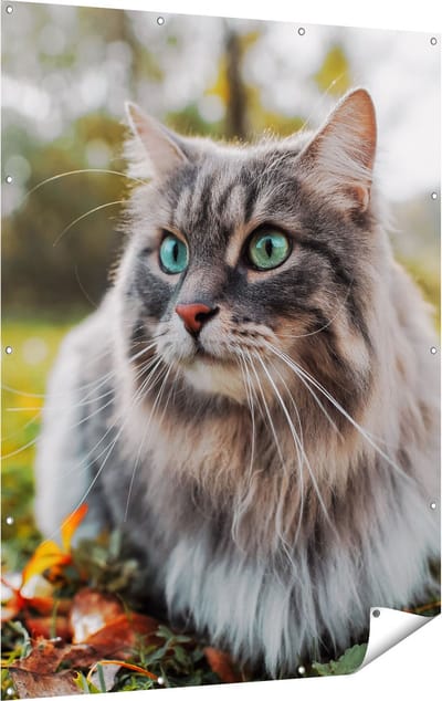 Gards Tuinposter Kat met Groene Ogen op het Gras - 120x160 cm - Tuindoek - Tuindecoratie - Wanddecoratie buiten - Tuinschilderij
