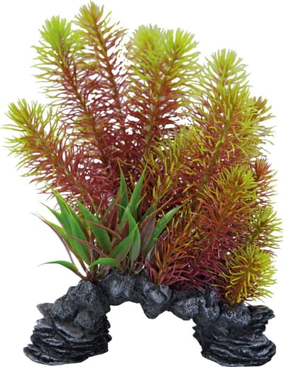 SuperFish Deco Plant L Myriophyllum Red