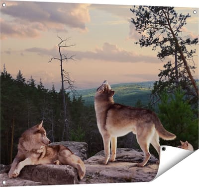 Gards Tuinposter Drie Wolven op een Rots in het Bos - 100x80 cm - Tuindoek - Tuindecoratie - Wanddecoratie buiten - Tuinschilderij