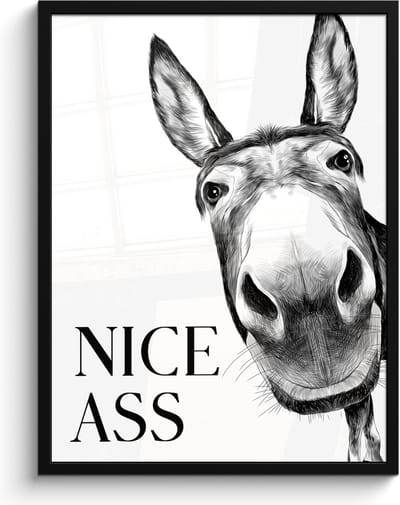 Poster in lijst - Fotolijst 60x80 cm - Posters - Quote - Ezel - Dieren - Nice ass - Spreuken - Posterlijst zwart - Wanddecoratie badkamer - Muurdecoratie WC - Decoratieve accessoires - Toilet muur decoratie