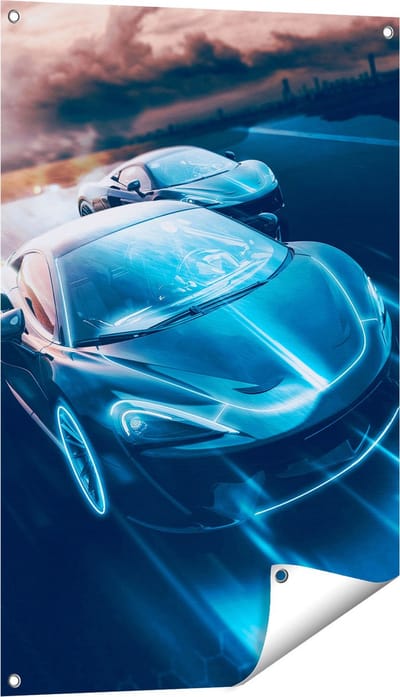 Gards Tuinposter Twee Raceauto's - Abstract - 60x90 cm - Tuindoek - Tuindecoratie - Wanddecoratie buiten - Tuinschilderij