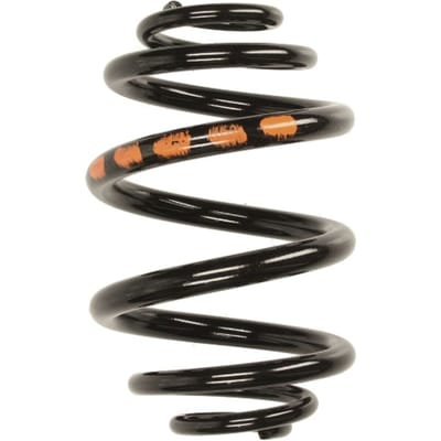 Chassisveer SACHS 994 196