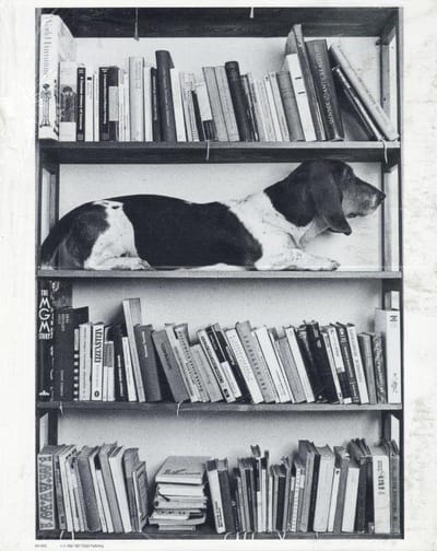Mini zwart-wit poster - Eda - Antonin Maly - 24x30 cm