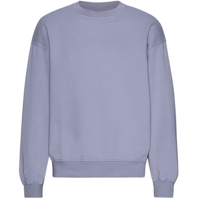 Oversized sweatshirt met ronde hals Colorful Standard Organic Purple Jade