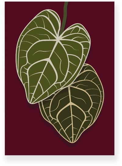 Poster 20x30 cm - Anthurium Bladeren - Planten - Groen - Burgundy - Botanisch - Minimalistisch - Muurdecoratie - Wanddecoratie