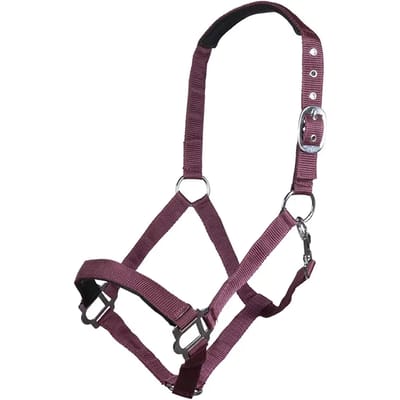 Halster voor paarden HKM Sydney