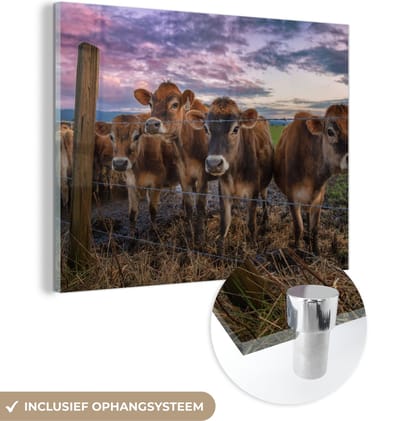 MuchoWow® Glasschilderij 40x30 cm - Schilderij acrylglas - Koe - Dieren - Koeien - Foto op glas - Schilderijen