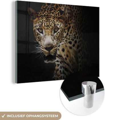 MuchoWow® Glasschilderij 160x120 cm - Schilderij acrylglas - Luipaard - Wilde dieren - Licht - Foto op glas - Schilderijen