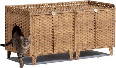Verborgen rattan kattenbakmeubel voor 2 katten – Kattenbakomheining met uitneembare mat en 2 ophanghaken – Dubbel gebruik: bijzettafel & kattenhuisje – Eenvoudig te monteren – Afmetingen 120 x 50 x 60 cm – Kleur naturel