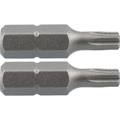 Labor schroefbit TX10x25mm (2 Stuks)