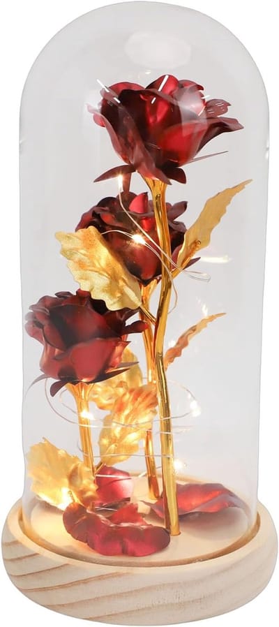 KZQ Geconserveerde rozen in een glazen stolp, een cadeau voor vrouwen, voorzien van ledverlichting, rozen die schitteren in het rode licht van de glazen stolp, rozen met een sterrenhemelpatroon, een cadeau voor Moederdag, Valentijnsdag en Kerstmis.