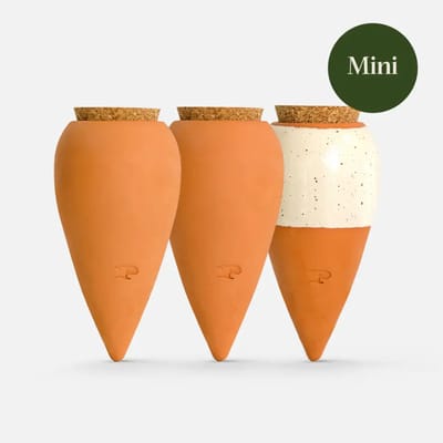 Pepin - Box Trio Mini Ollas - Zelfbewaterende Planten - Voor Kamer- & Balkonplanten - Waterdruppelaar - Bewateringsbol voor Planten