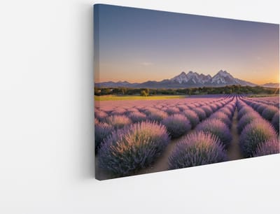Saammp Canvas Schilderij - Lavendelveld met bergachtig landschap - Natuur - 45x30 - Foto op canvas - Wanddecoratie - Muurdecoratie Woonkamer - Slaapkamer decoratie - Canvas Print