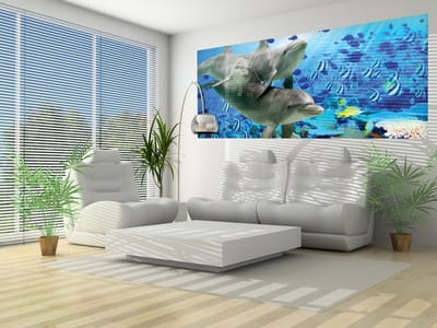 Dolphins Tropical Fish Photo Wallcovering
