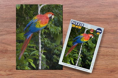 Puzzel Gekleurde papegaai in de wouden van het Nationaal park Manu in Peru - Legpuzzel - Puzzel 1000 stukjes volwassenen