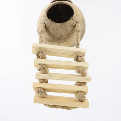 OLOEY Kokosnoot nesthuisje voor suikereekhoorns met ladder- vogelhuisje van kokosnoot met hangend speeltje voor grasparkieten- valkparkieten- conures en kanaries