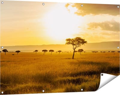 Gards Tuinposter Zonsondergang in de Savanne - 120x80 cm - Tuindoek - Tuindecoratie - Wanddecoratie buiten - Tuinschilderij
