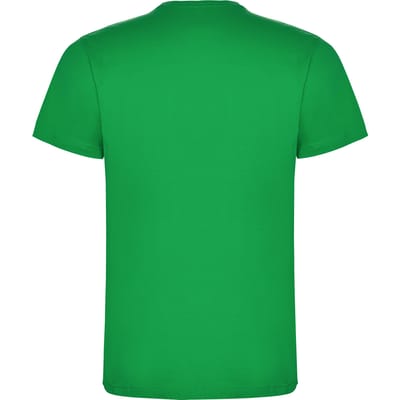 Roly Heren Dogo Premium T-Shirt (Iers Groen)