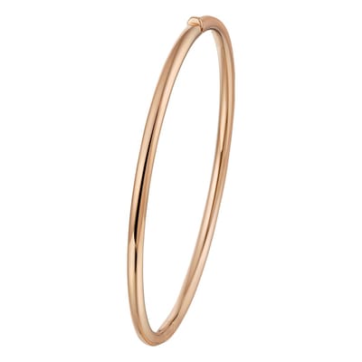 Bangle Scharnier Ronde Buis 3 X 60 Mm