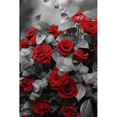 Peinture diamant 5D fleur rouge Rose, mosaïque à faire soi-même, point de croix, broderie diamant 20X30CM gray