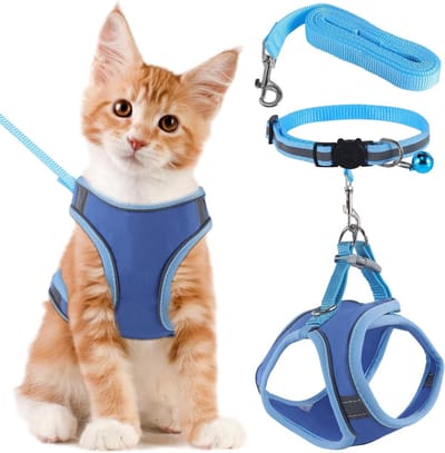 Verstelbare kattenhalsband in maat S, blauwe kleur, ideaal voor comfort en stijl