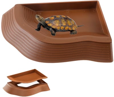 Dailygoods- Waterschaal voor Schildpadden - Antislip Helling - Duurzaam ABS-Kunststof - Voedsel-/Waterbak - Eenvoudig Schoon te Maken - Geschikt voor Kleine Reptielen - Reptielenbak