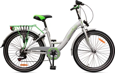 Kinderfiets Uniek 6S 24'' Grijs/Groen