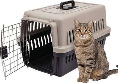 IvoQ Reismand Kat M – Transportbox voor Katten en Kleine Honden – Inclusief Bodemplaat – 58x37x36 cm – Crème/Antraciet